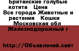 Британские голубые котята › Цена ­ 5 000 - Все города Животные и растения » Кошки   . Московская обл.,Железнодорожный г.